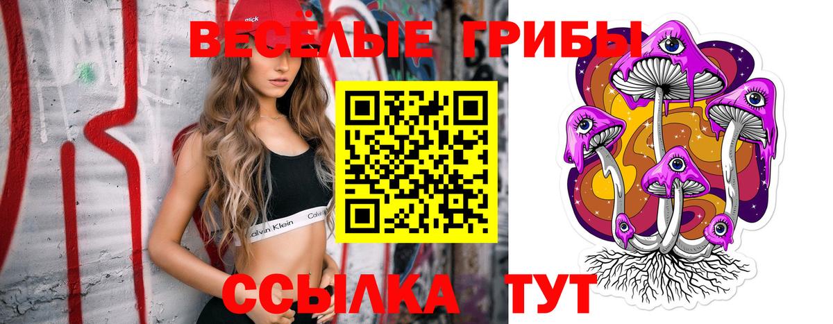 Галлюциногенные грибы мухоморы  Вход с VPN  хочу   Партизанск 